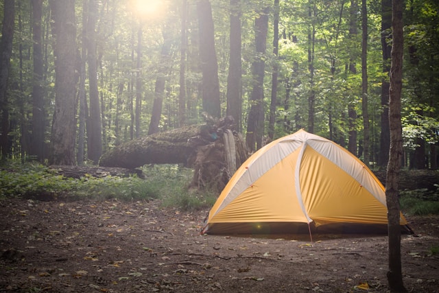 Comment immortaliser la beauté de la nature lors de vos escapades en camping ?