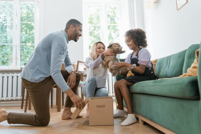 Maison pour un nouvel animal